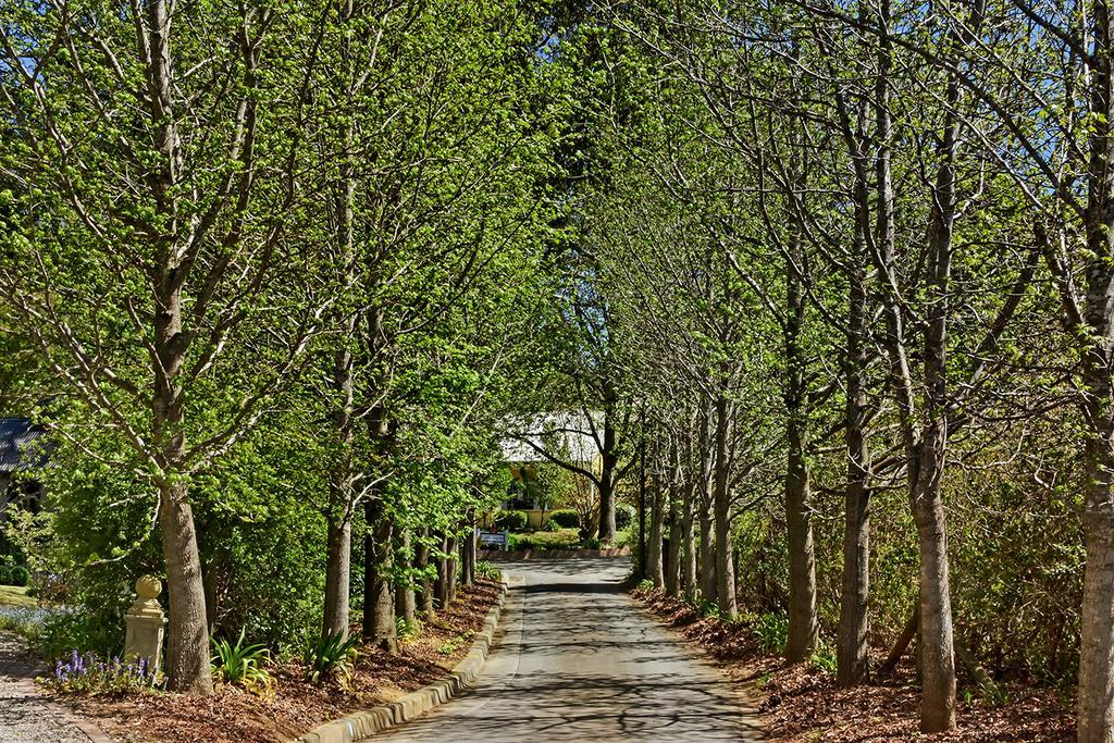 Bundanoon Lodge Exteriér fotografie